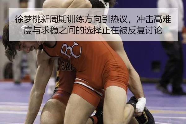 徐梦桃新周期训练方向引热议，冲击高难度与求稳之间的选择正在被反复讨论